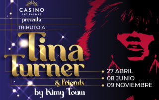 TINA TURNER